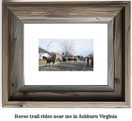 horse trail rides near me in Ashburn, Virginia